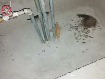 黄岛卫生间测漏水价格明细