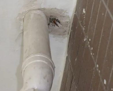 黄岛漏水检测哪家好